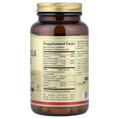 Solgar, Skin, Nails & Hair, Advanced MSM Formula, 120 Tablets
