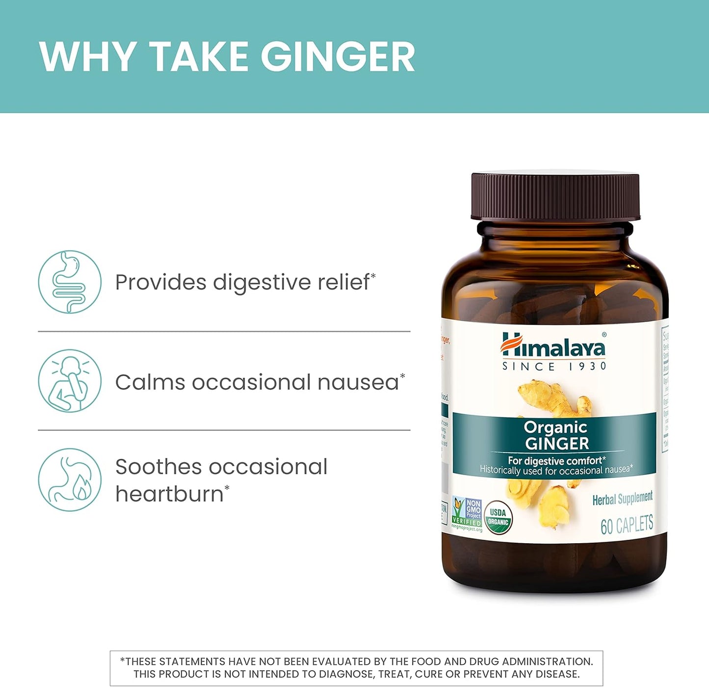 Himalaya Organic Ginger Supplement Equivalent to 4,766 mg