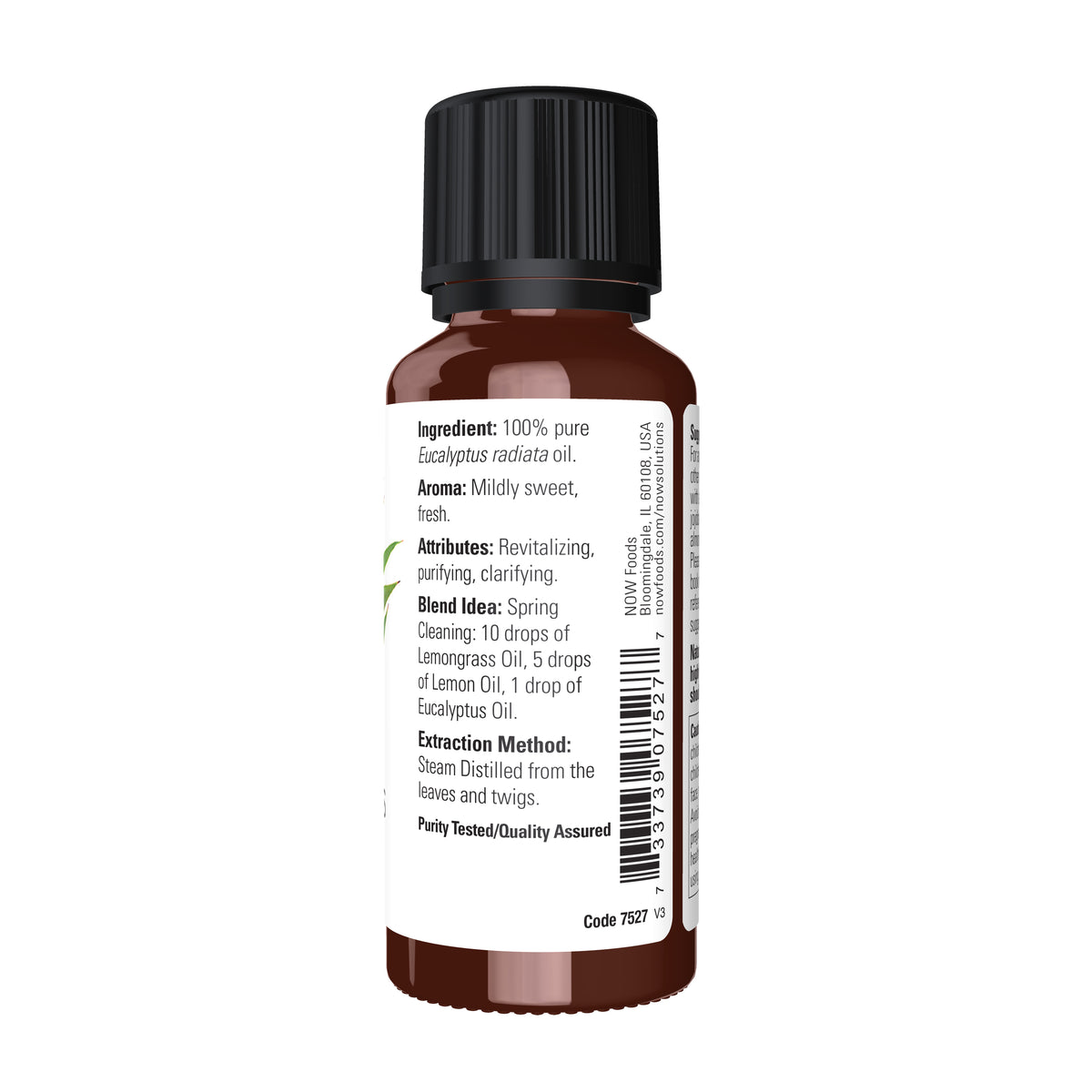 NOW Essential Oils, Eucalyptus Radiata Oil, Steam Distilled, 1 fl. oz