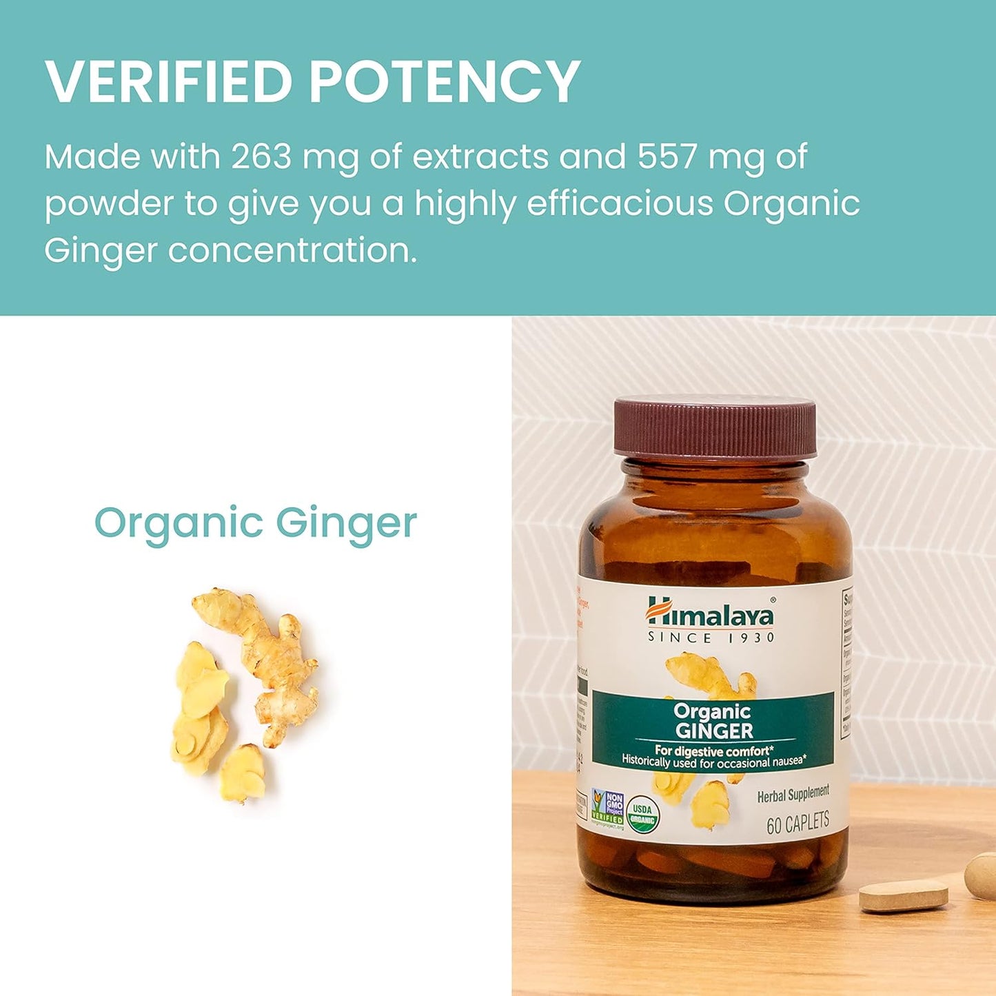 Himalaya Organic Ginger Supplement Equivalent to 4,766 mg