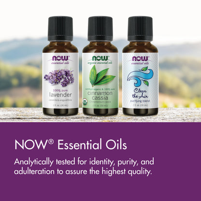 NOW Essential Oils, Sweet Basil Oil, Undiluted, Steam Distilled, 1 fl. oz