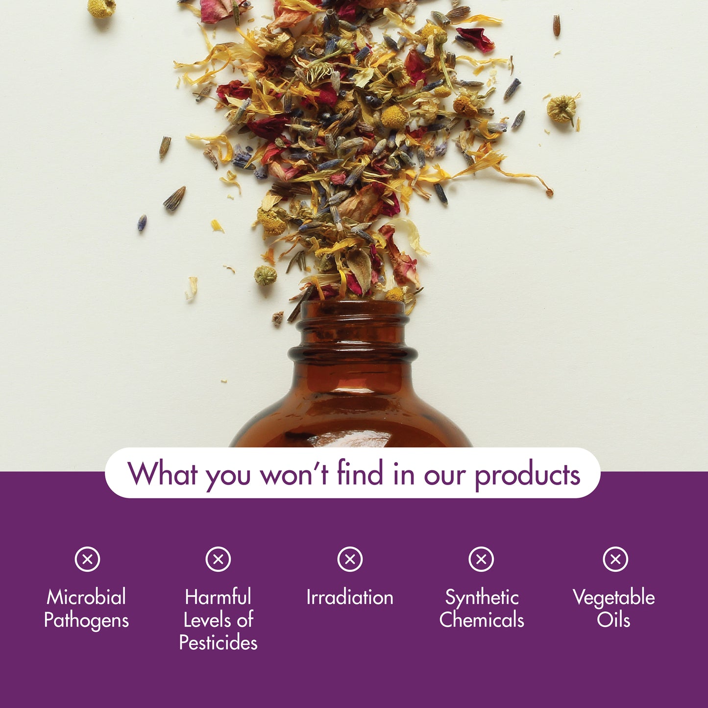 NOW Essential Oils, Cedarwood Oil, Undiluted, Steam Distilled, 1 fl. oz